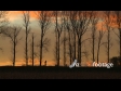 Woman Jogger Silhouetted 1 2993